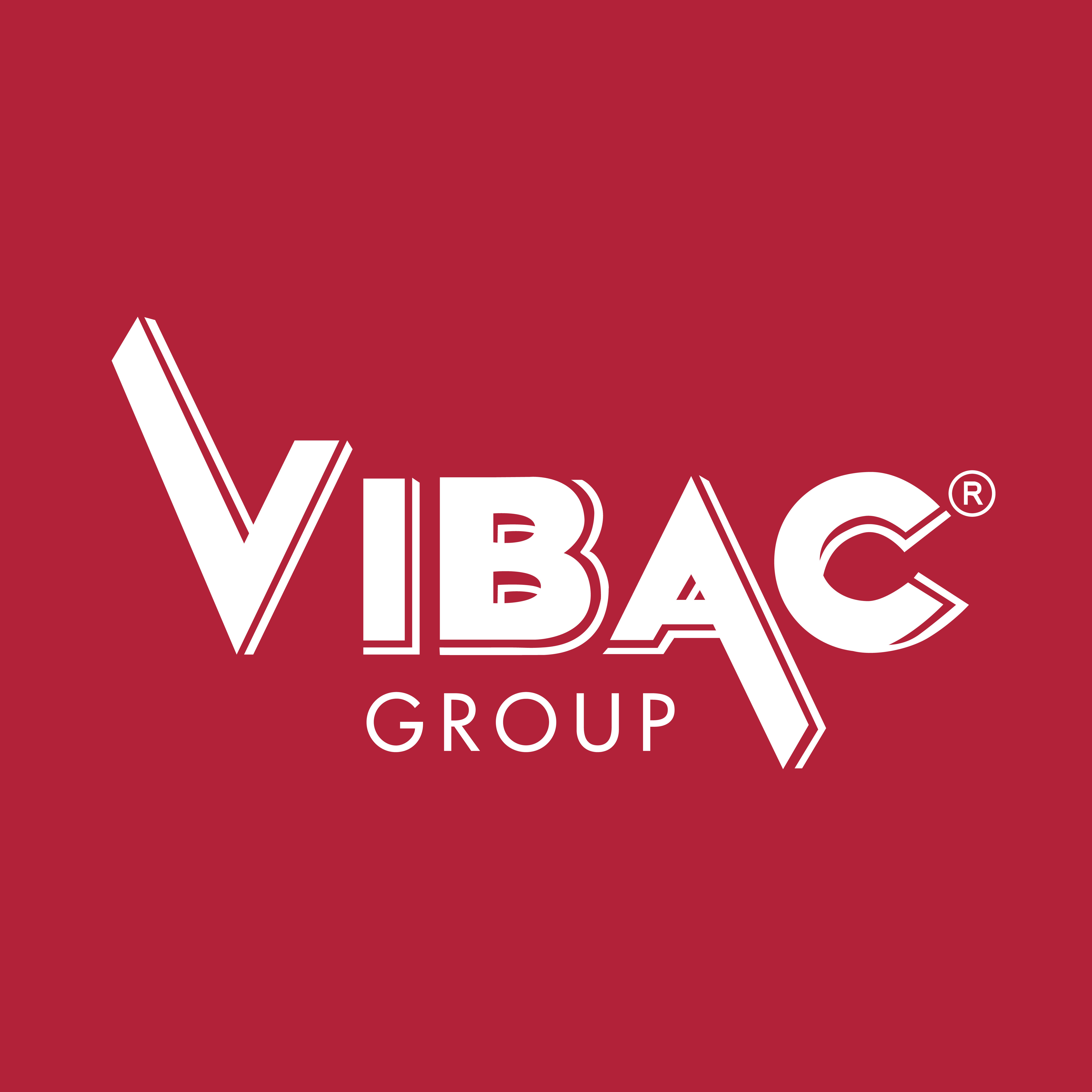 vibac_group_negativo(1)